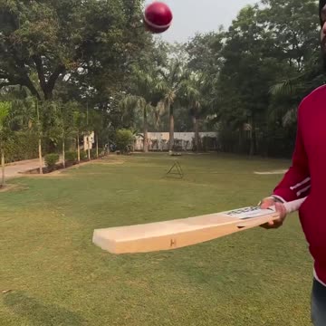 Heega Sports - Legacy Edition Kashmir Willow Cricket Bat