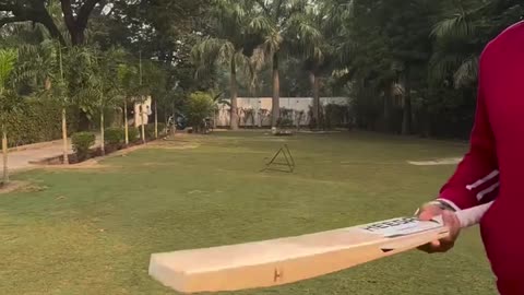 Heega Sports - Legacy Edition Kashmir Willow Cricket Bat