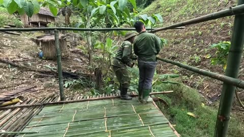 Survival in the Rainforest - Phưu Lưu Trong Rừng