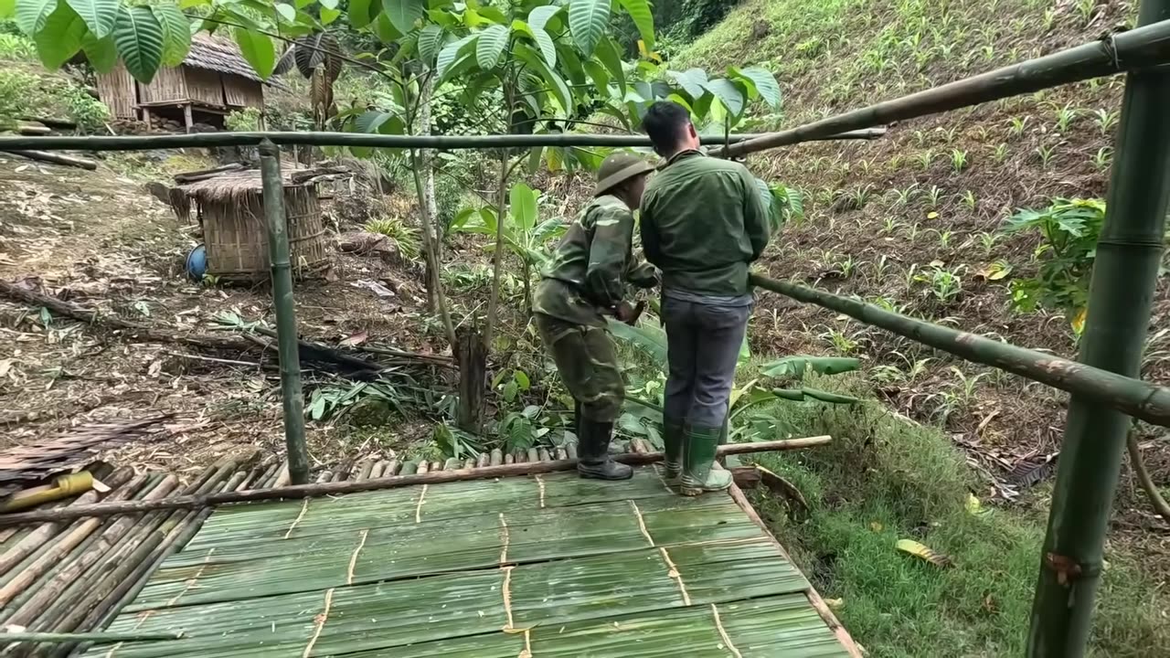 Survival in the Rainforest - Phưu Lưu Trong Rừng