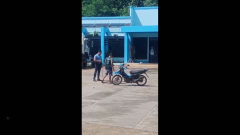 Dog’s intelligent survival strategy, playing dead until the Pitbull is removed
