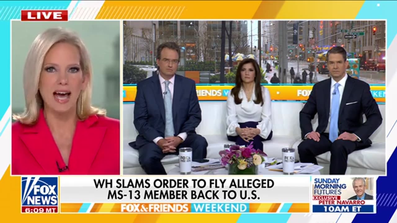 Court battles 'bubbling up' to next level amid 'hands off' protests: Shannon Bream