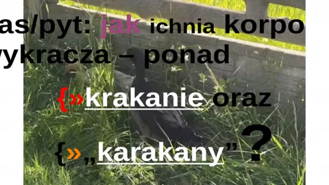 Gier wał trwa, czy raczej OBA WAŁdy: PKO-lenie z PKO BP, Licheń–licho|KIARUR L„RAV” ATIQOT HAZO!