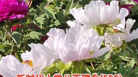 生命禅院