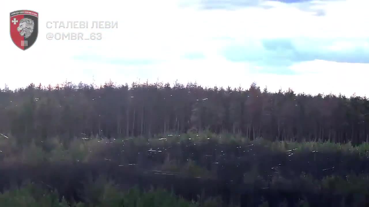 The web of war: Ukrainian forests are turning into silent traps made of optical fibers