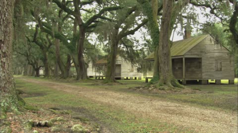 The History of Slave Economy in the USA