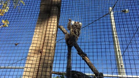 Lagos Zoo (Algarve, Portugal) 21