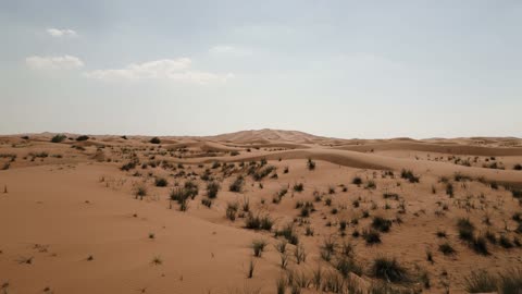 "Breathtaking Desert Views | Nature’s Beauty in the Sands 🌵
