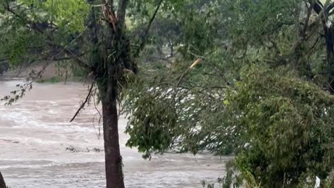 Deer Rescue in Texas Hill Country Flood 2025