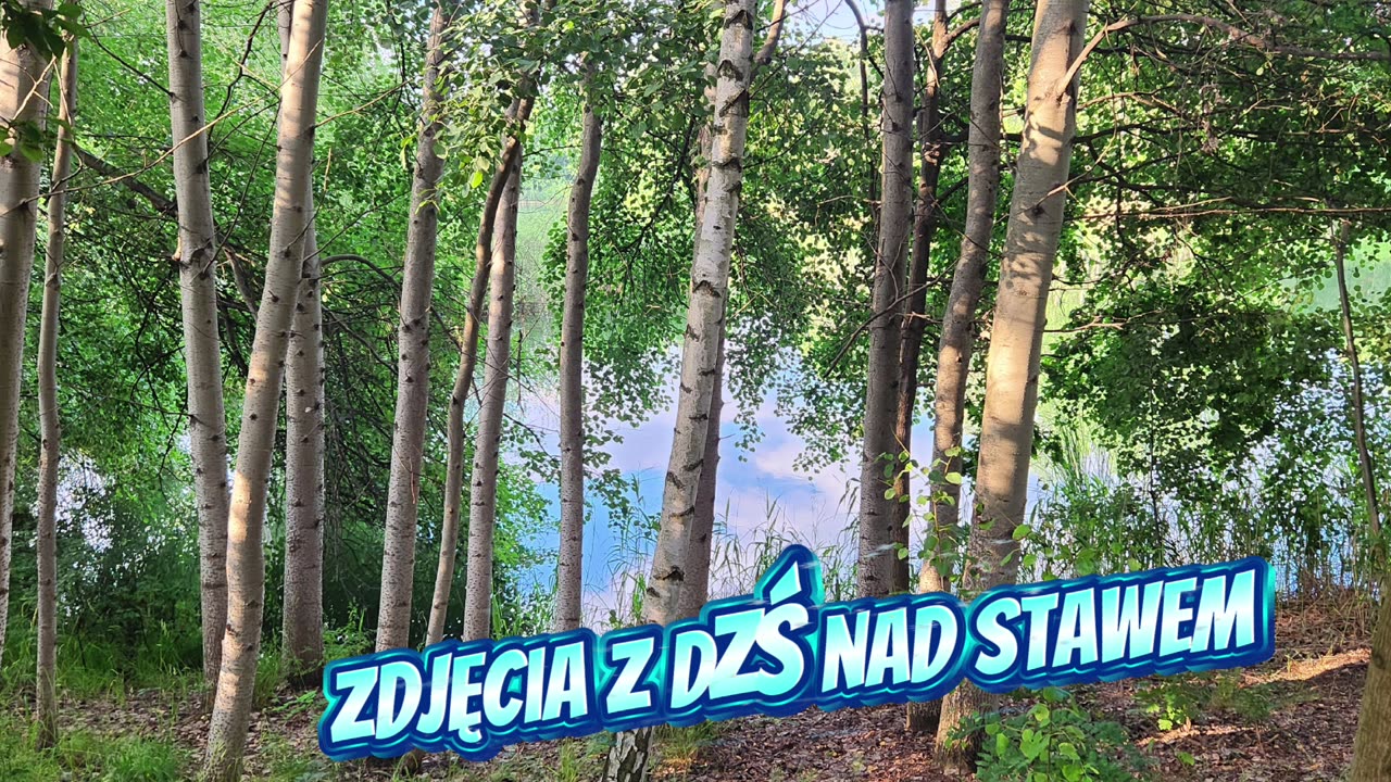 Wiesiorynka nocna 36