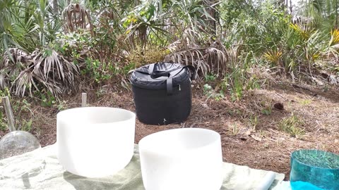 Crystal Singing Bowls Sound Bath & Forest Bath, Natural Healing, April 27, 2024, Miami, Florida
