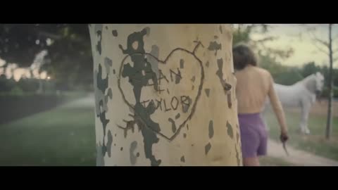 Taylor Swift - Blank Space
