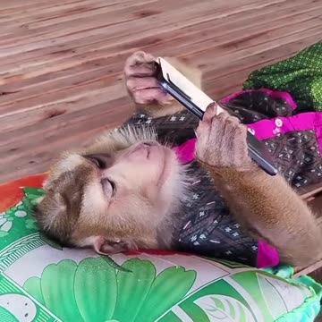 Funny video #trandingfunnyvideo tik tok tranding video