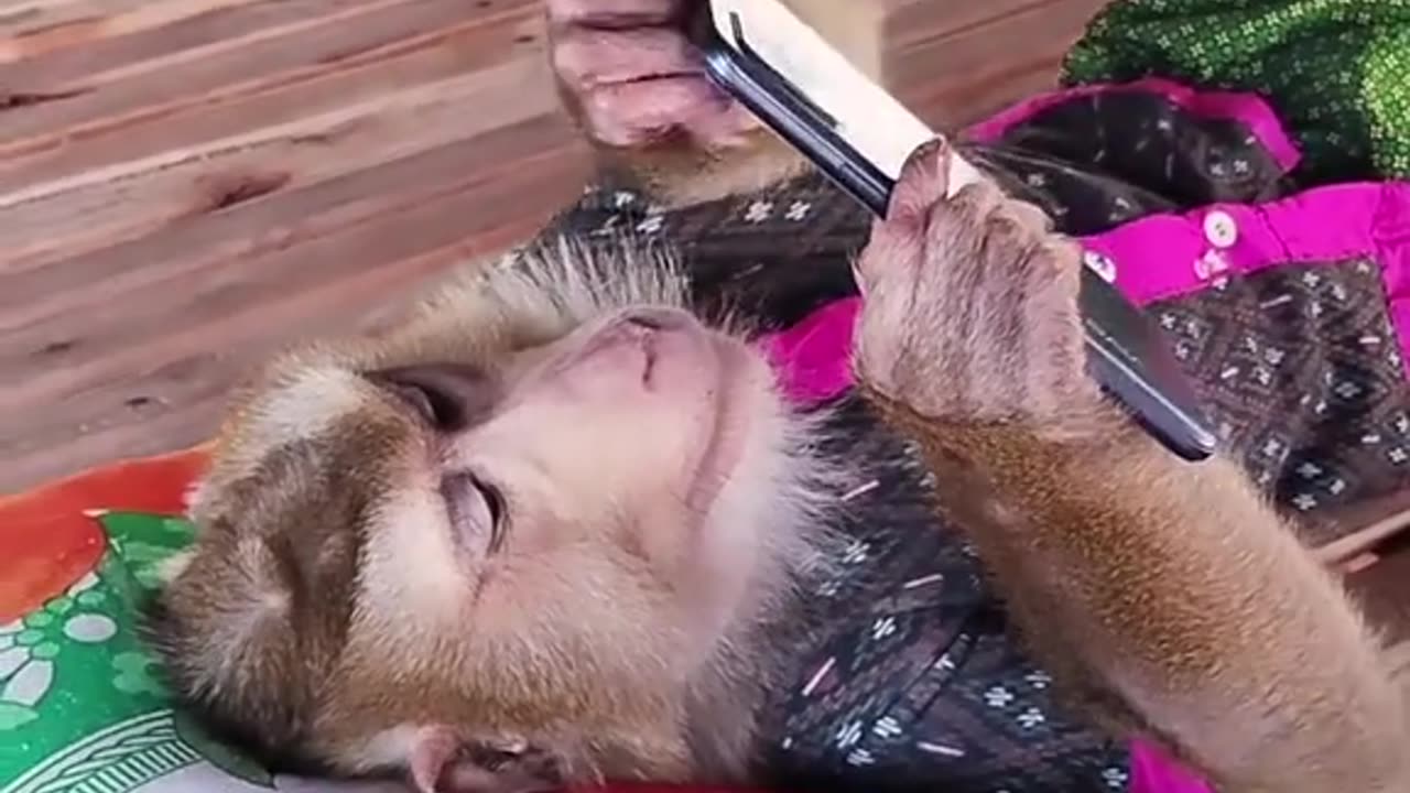 Funny video #trandingfunnyvideo tik tok tranding video