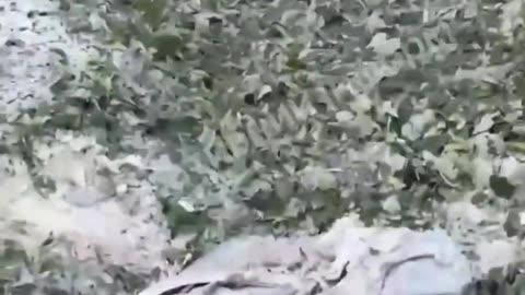🛡️🔥 Ukraine Russia War | Crater from Downed Missile in Kyiv Neighborhood | RCF