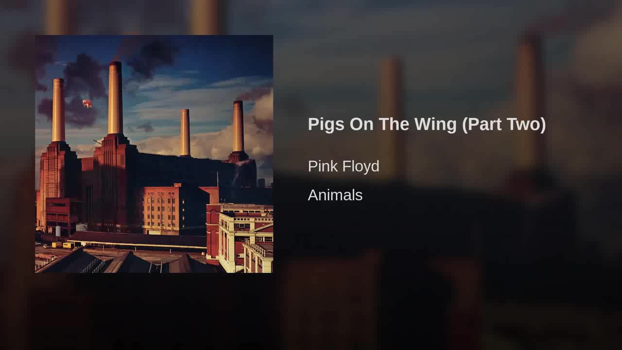 Pink Floyd - Pigs On The Wing [Part Two]