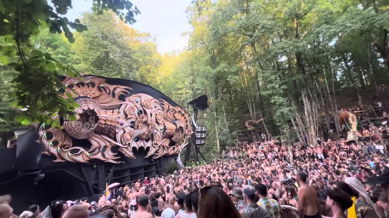 Opening the hive Modem Festival 2024
