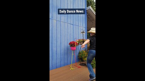 Daily Dance News