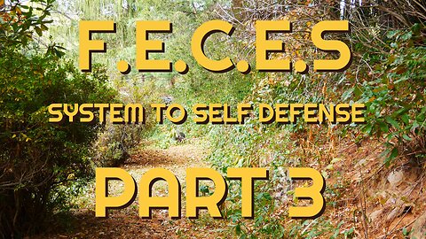 F.E.C.E.S System to Self Defense Part 3 of 3