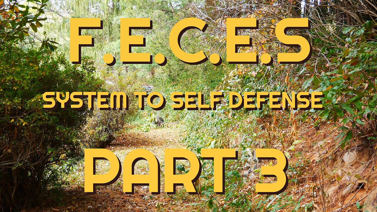 F.E.C.E.S System to Self Defense Part 3 of 3