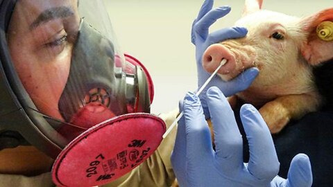 "Unveiling the Truth: Was the 2010 Swine Flu Pandemic Man-Made?"
