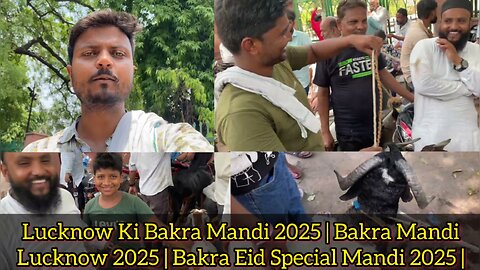 Lucknow Ki Bakra Mandi 2025 | Bakra Mandi Lucknow 2025 | Bakra Eid Special Mandi 2025 |