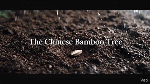 The Secret of the Bamboo Tree (You need to hear this!)