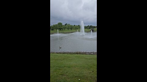 My Peaceful Place - Racism in Canada and Chicago