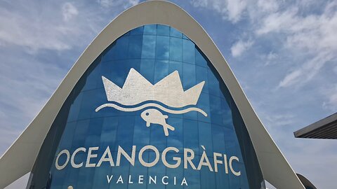 Meet the Beluga Whale 🐋 |of Oceanogràfic Valencia – Majestic Arctic Beauty in Spain!