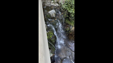 Fallingwater 3