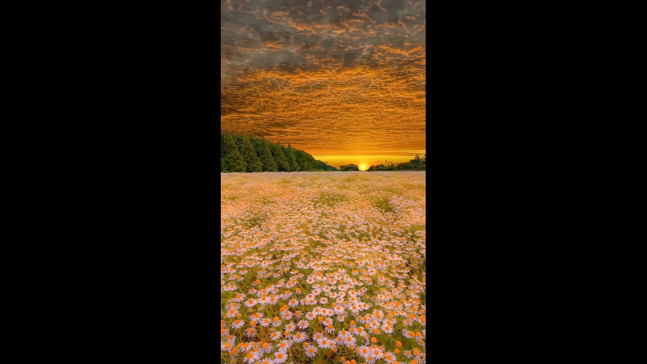 Beautiful Sunset