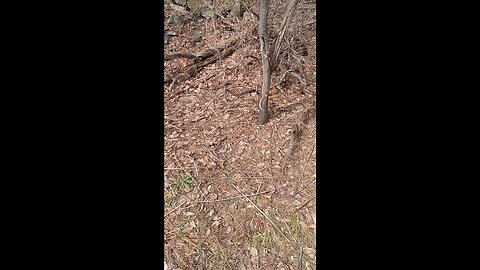 2024 shed season hanger