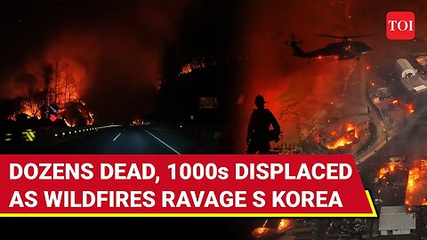 South Korea Wildfires: Apocalyptic Scenes On Cam; Dozens Killed, Chopper Crashes | Blaze Burns Japan