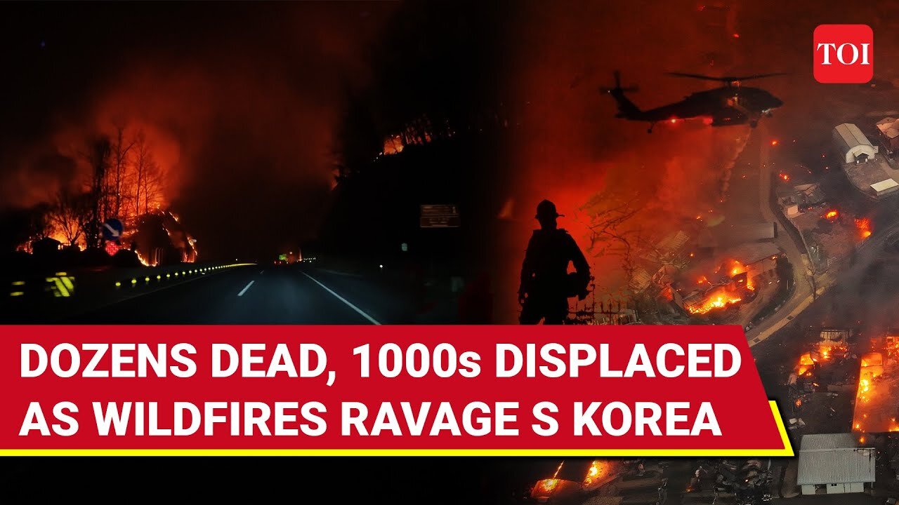 South Korea Wildfires: Apocalyptic Scenes On Cam; Dozens Killed, Chopper Crashes | Blaze Burns Japan