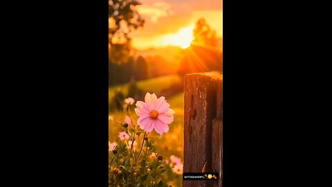 #foryoupage#viralvideo