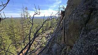 Scratch & Slide Ravine
