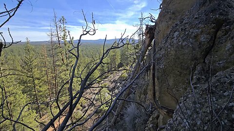 Scratch & Slide Ravine