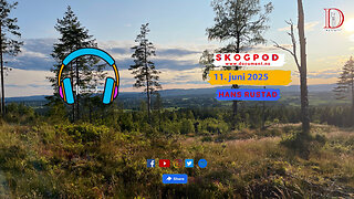 Skogpod 11. juni 2025