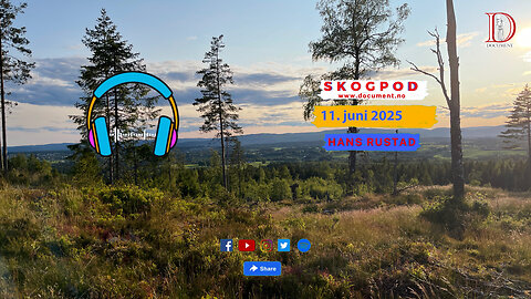 Skogpod 11. juni 2025