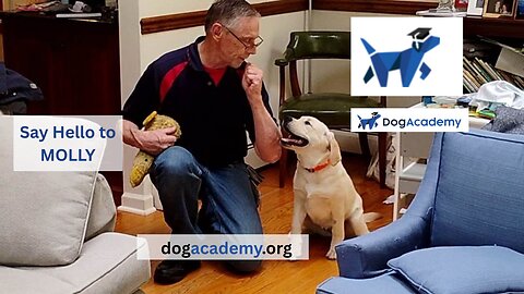 Molly's First Lesson