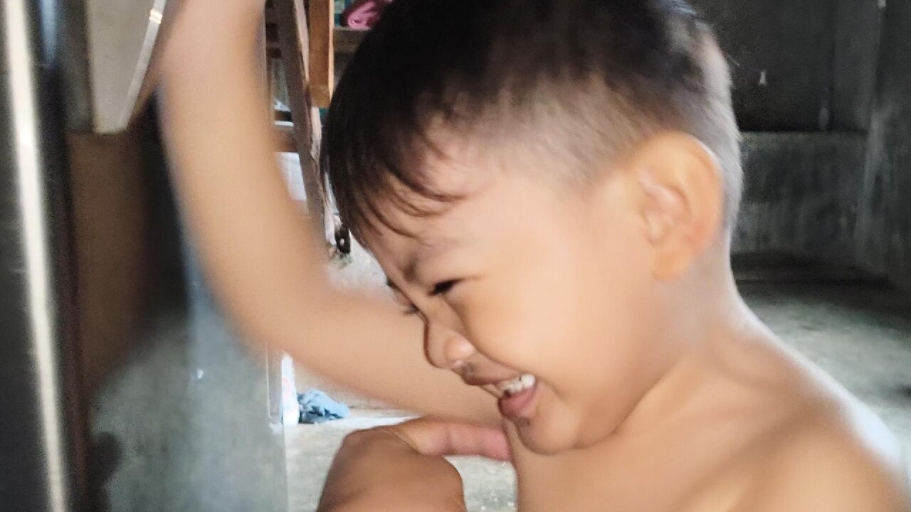 Grey Plays With the Refrigerator & Gets Tickled!