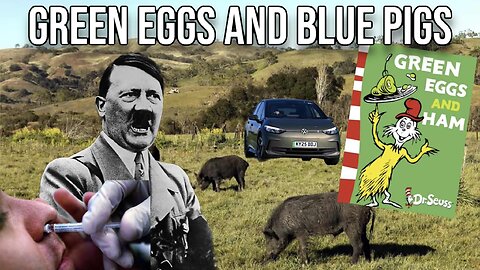 Green Eggs and Blue Pigs | Report