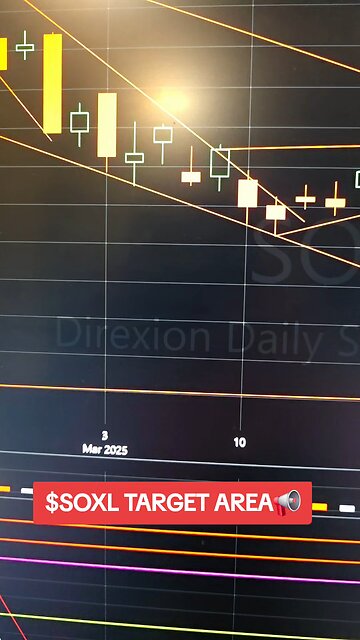 $SOXL TARGET📢