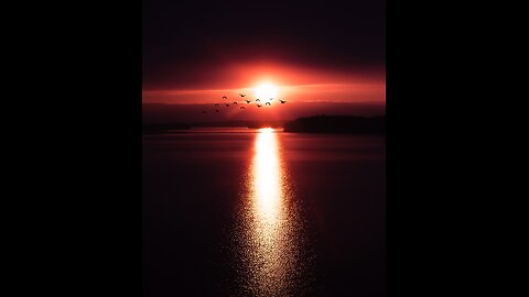 OBLIVION