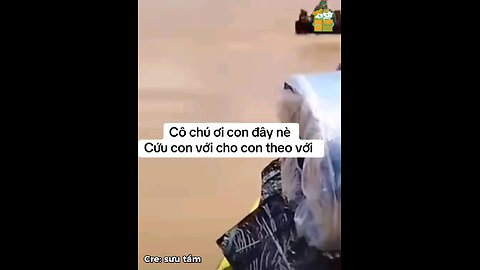 Uncle, aunt, please help me! Let me come with you...❤️