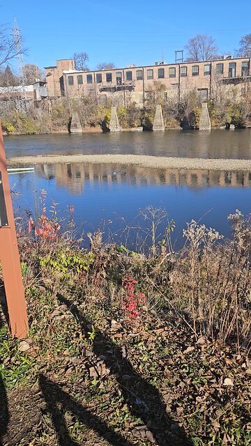 Ducks in an Alcove on the Fox River