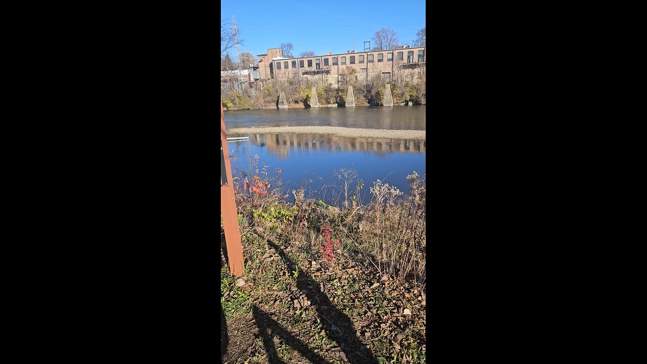 Ducks in an Alcove on the Fox River