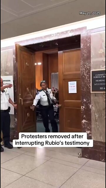 Liberal protester gets carried out of Secretary of State Marco Rubio’s hearing today kicking