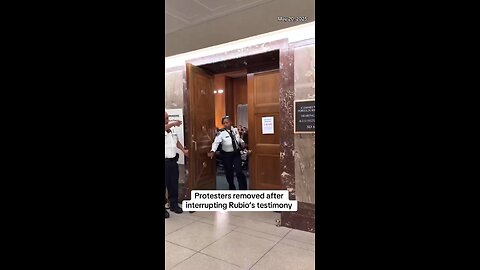 Liberal protester gets carried out of Secretary of State Marco Rubio’s hearing today kicking