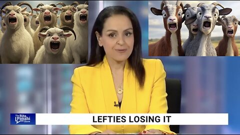 LEFTIES LOSING IT! March 13. Tesla Terrorism, Woke Queers for Palestine & More!!